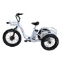 2020 light weight aluminium alloy electric three wheel bike electric cargo trike fat tire electric tricycle trike