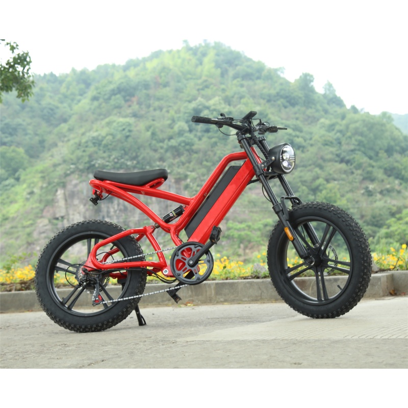 1000W Electric Fat Tire Bike EU Warehouse Dropshipping Cool Electric Sport Bike WIth 48V 16Ah Lithium Battery Free Shipping