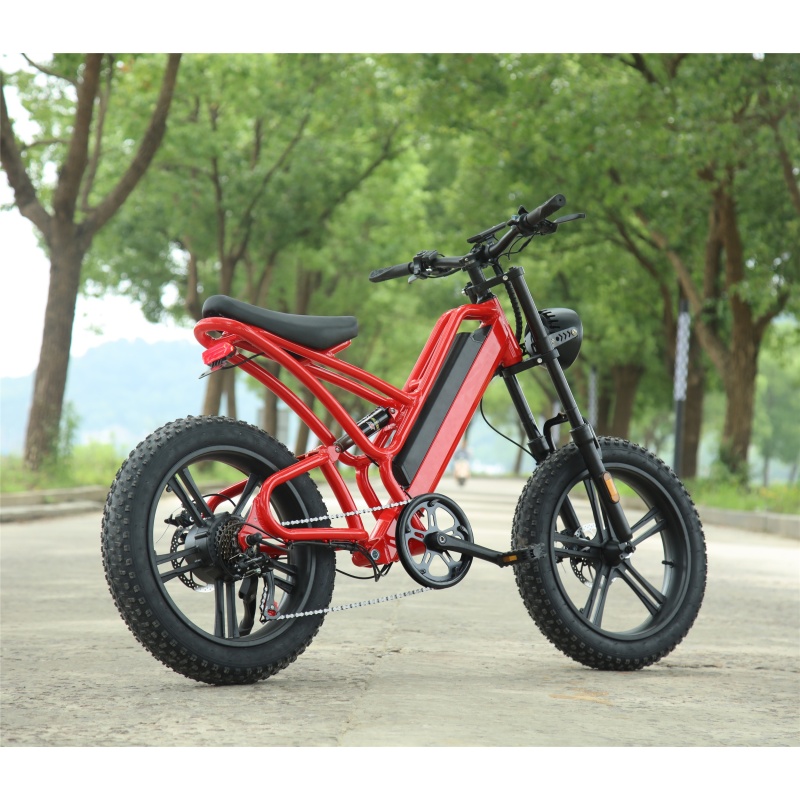 1000W Electric Fat Tire Bike EU Warehouse Dropshipping Cool Electric Sport Bike WIth 48V 16Ah Lithium Battery Free Shipping