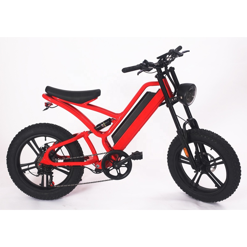 1000W Electric Fat Tire Bike EU Warehouse Dropshipping Cool Electric Sport Bike WIth 48V 16Ah Lithium Battery Free Shipping