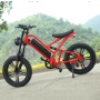 1000W Electric Fat Tire Bike EU Warehouse Dropshipping Cool Electric Sport Bike WIth 48V 16Ah Lithium Battery Free Shipping