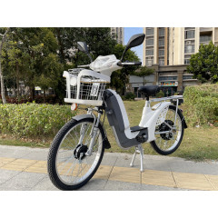 Chinese Original Factory Supplier of Sousa Veloster 48V 350W Cheap Electric Bicycle Adult Electric Vehicles For Sale