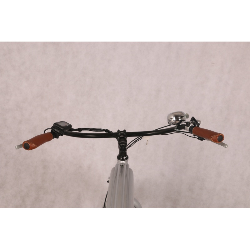 Hot Sales 500W 750W Cafe Racer Electric Bike Fat Tire Beach Cruiser Bicycle 26 Inch Retro Electric Bike