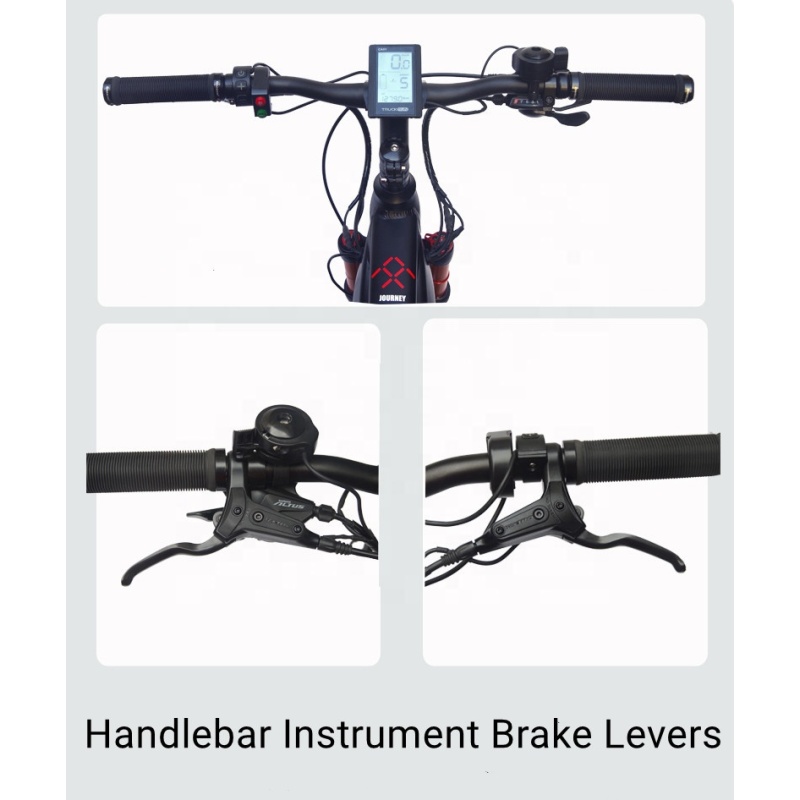200Km Long Range Dual Battery Electric Bike 27.5 Inch Big Wheel Mid Drive Ebike With Torque Sensor 9 Speed Gears