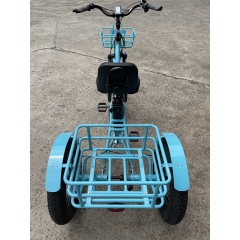 Premium Large Wheel Full Fat Adult Fat Tire Electric Trike 750W Tricycle Electric Bike 3 Wheels With Adjustable Backrest