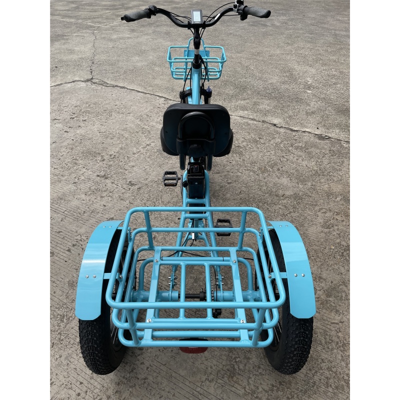 Premium Large Wheel Full Fat Adult Fat Tire Electric Trike 750W Tricycle Electric Bike 3 Wheels With Adjustable Backrest