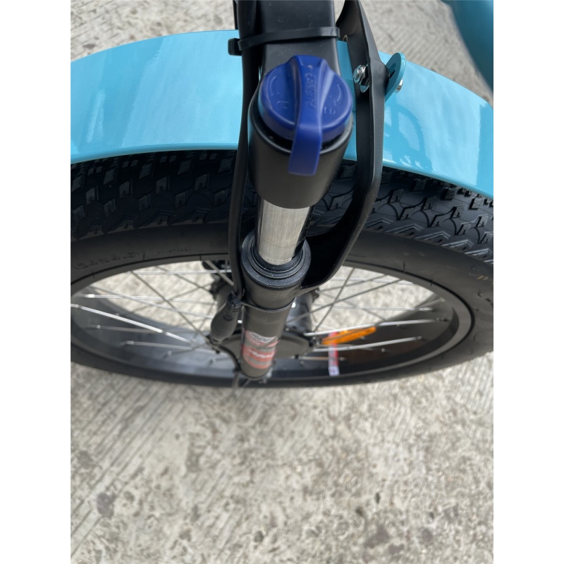 Premium Large Wheel Full Fat Adult Fat Tire Electric Trike 750W Tricycle Electric Bike 3 Wheels With Adjustable Backrest