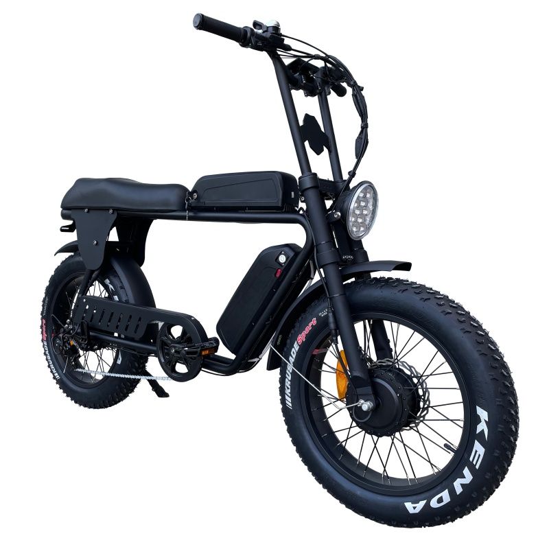 Ready To Ship 1500W Dual Motor Electric Bike Long Range 48V 30Ah Dual Battery Electric Cross Bike Enduro Ebike