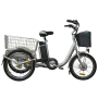 3 wheel electric tilting trike electric tricycle tuk tuk made in china low price