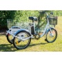 3 wheel electric tilting trike electric tricycle tuk tuk made in china low price