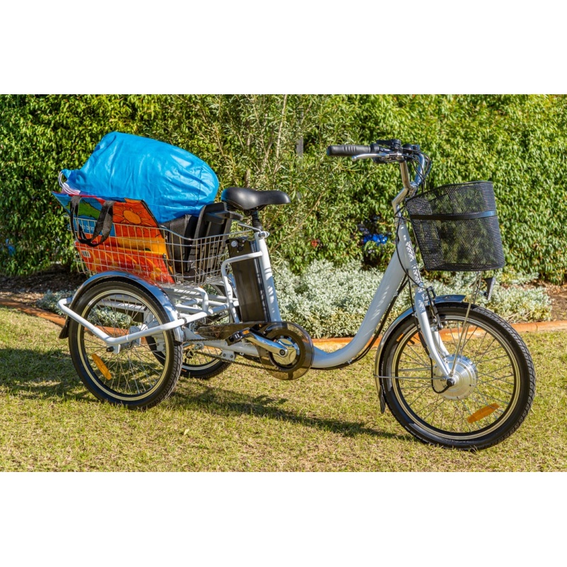 3 wheel electric tilting trike electric tricycle tuk tuk made in china low price
