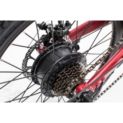 Nice Design 20 Inch Folding Electric Bike 350W 36V Seatpost Battery Foldable Electric Bicycle 16 Inches Optional