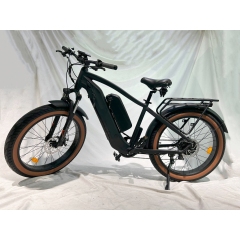 Long Range Dual Battery Electric Mountain Bike 48V 17.5Ah Lithium Fat Tire Adult Hybrid Electric Bicycle Moto Electrica
