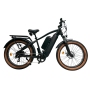 Long Range Dual Battery Electric Mountain Bike 48V 17.5Ah Lithium Fat Tire Adult Hybrid Electric Bicycle Moto Electrica