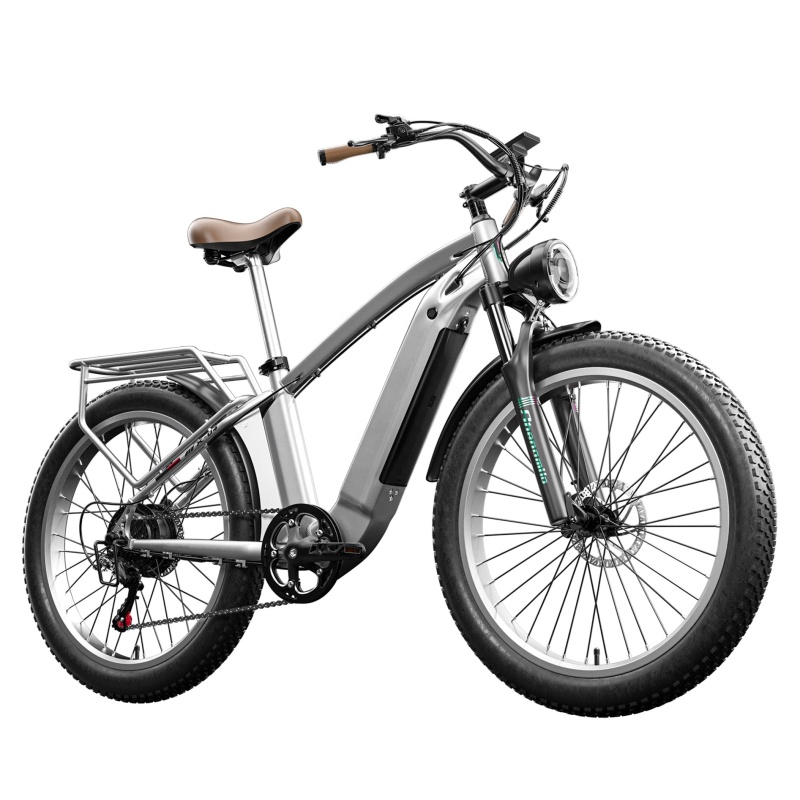 Bafang 500W Style Cheap Classic Retro Fat Tire Electric Bike E Bikes 2022 Electric Bicycle 750W Cruiser Motos Electrica