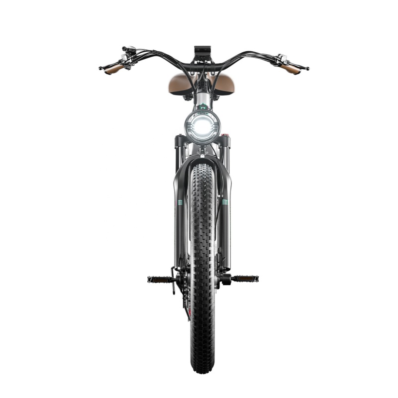 Bafang 500W Style Cheap Classic Retro Fat Tire Electric Bike E Bikes 2022 Electric Bicycle 750W Cruiser Motos Electrica