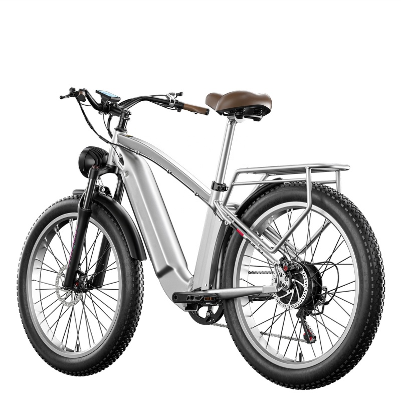 Bafang 500W Style Cheap Classic Retro Fat Tire Electric Bike E Bikes 2022 Electric Bicycle 750W Cruiser Motos Electrica