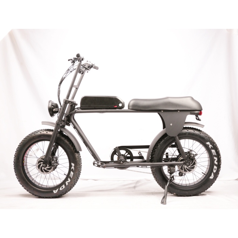 48V 500W 750W Dual Motor Electric Fat Bike Super Power Electric Hunting Bike Fat Tire E-Bicycle Max 1500W