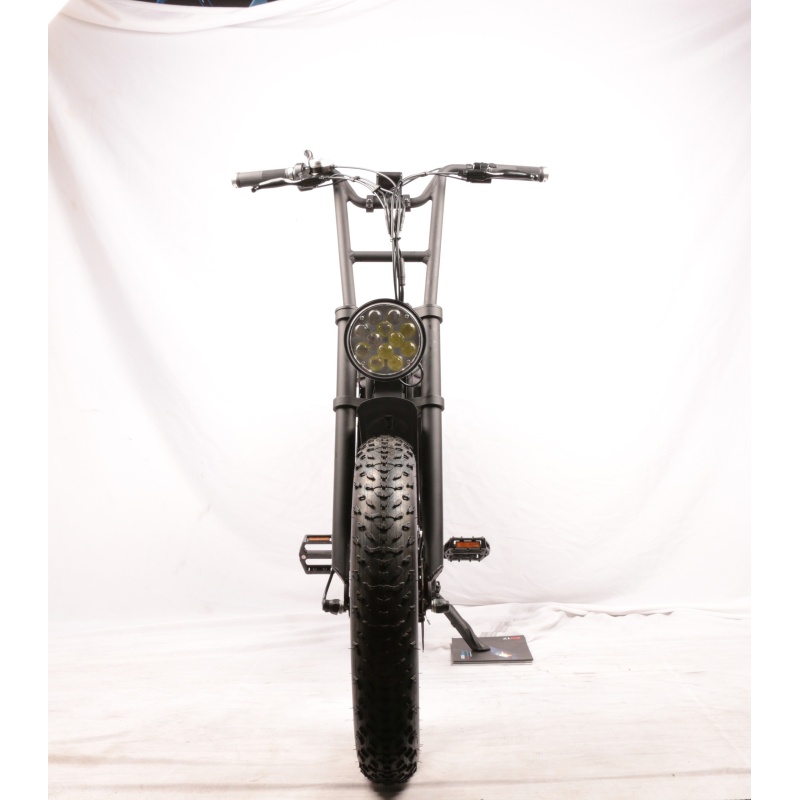 48V 500W 750W Dual Motor Electric Fat Bike Super Power Electric Hunting Bike Fat Tire E-Bicycle Max 1500W