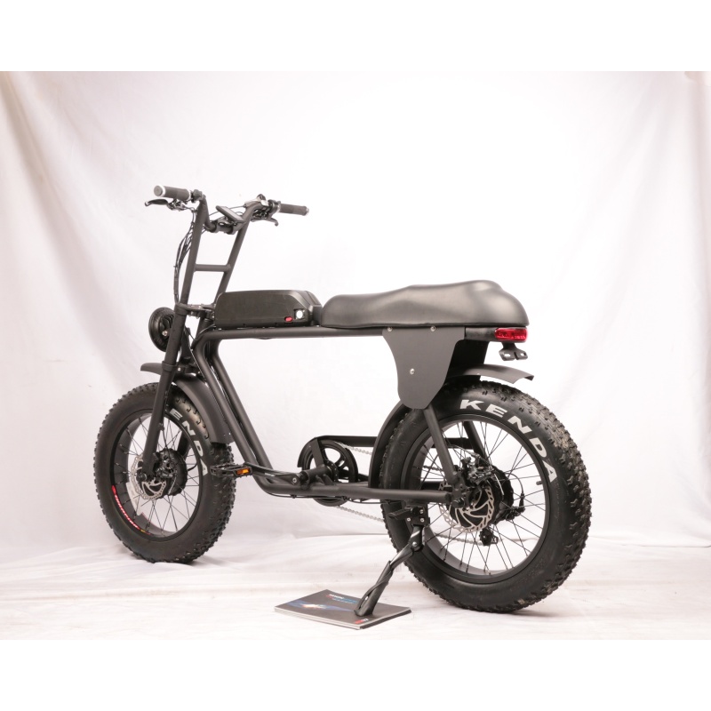 48V 500W 750W Dual Motor Electric Fat Bike Super Power Electric Hunting Bike Fat Tire E-Bicycle Max 1500W