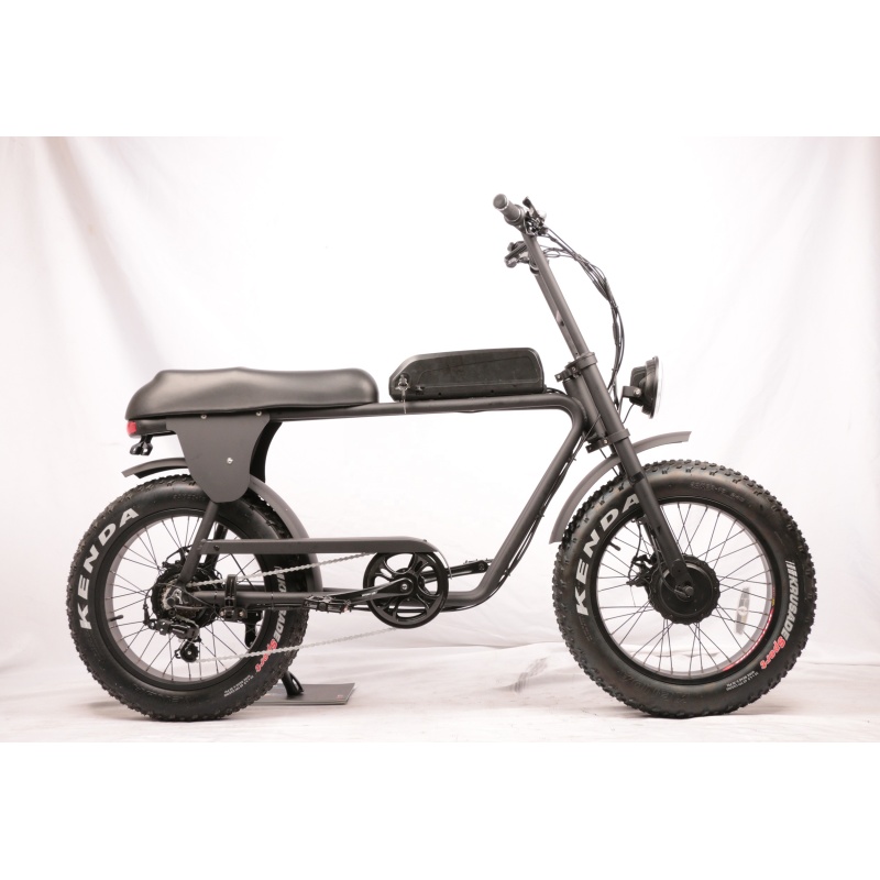 48V 500W 750W Dual Motor Electric Fat Bike Super Power Electric Hunting Bike Fat Tire E-Bicycle Max 1500W