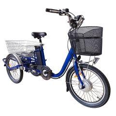20-Inch Hot Sale 3-Wheel Electric Bicycle for Adults 350W Motor Power 36V Electronic Smart Type Best Choice!