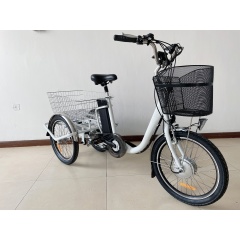 20-Inch Hot Sale 3-Wheel Electric Bicycle for Adults 350W Motor Power 36V Electronic Smart Type Best Choice!