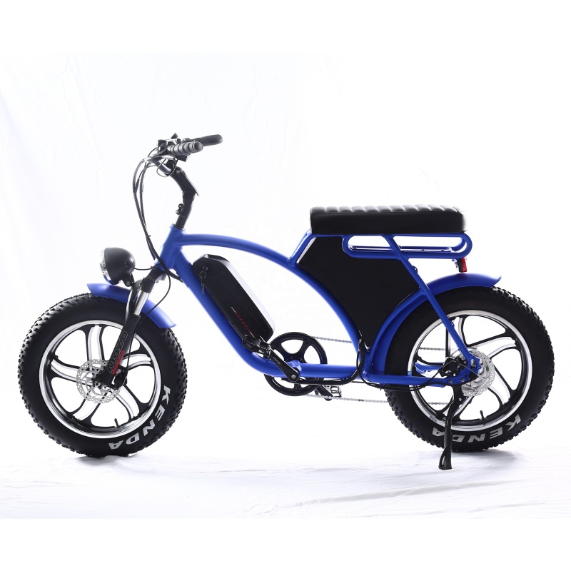 Electric Fat Tire Bike Bicycle Fat Tire Electric Bike 1000W Electric Fat Bike 1000W Available with Double Battery