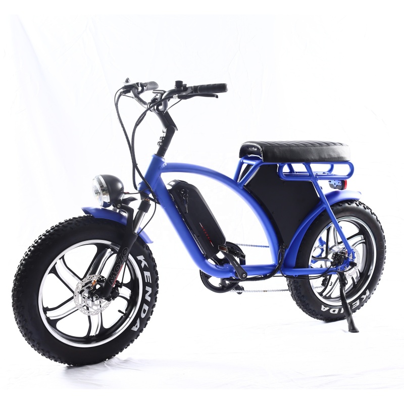 Electric Fat Tire Bike Bicycle Fat Tire Electric Bike 1000W Electric Fat Bike 1000W Available with Double Battery
