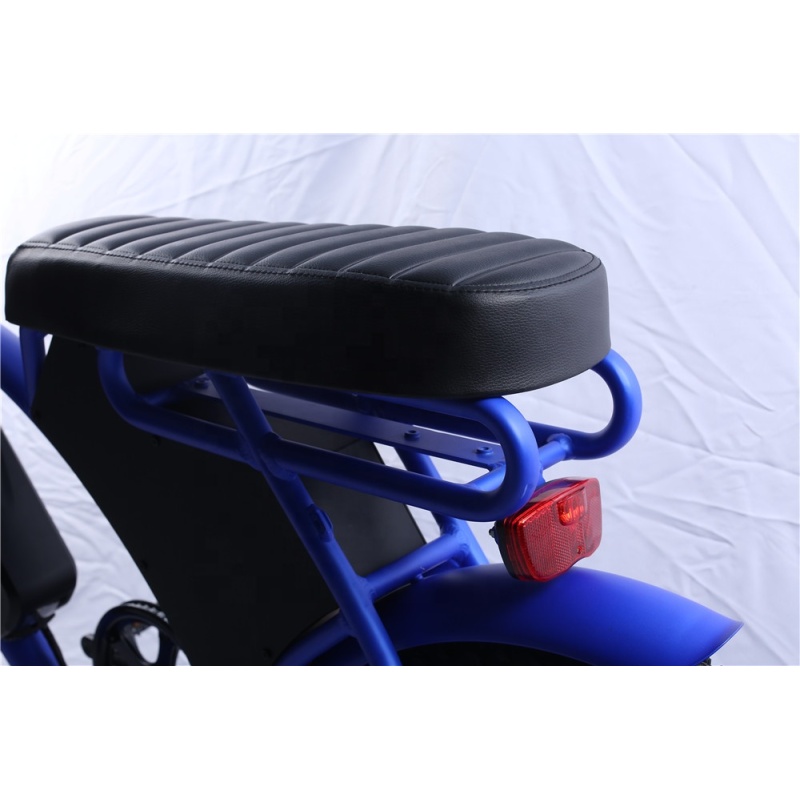 Electric Fat Tire Bike Bicycle Fat Tire Electric Bike 1000W Electric Fat Bike 1000W Available with Double Battery