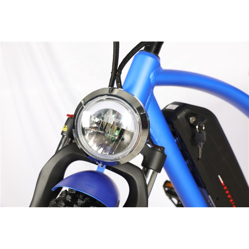 Electric Fat Tire Bike Bicycle Fat Tire Electric Bike 1000W Electric Fat Bike 1000W Available with Double Battery