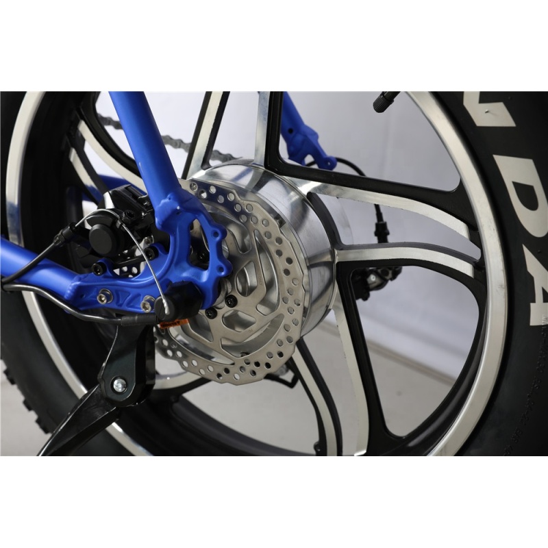 Electric Fat Tire Bike Bicycle Fat Tire Electric Bike 1000W Electric Fat Bike 1000W Available with Double Battery