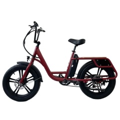 Low Cost 48V 500W Delivery Electric Bike All Terrain 20x4.0 Fat Tire Long Tail Cargo Bike E Bicycle