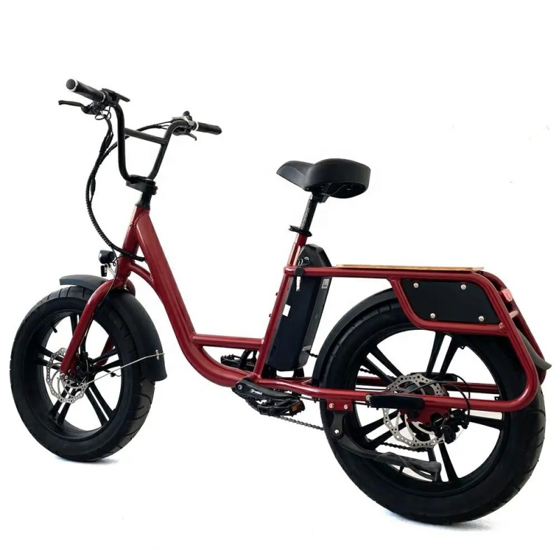 Low Cost 48V 500W Delivery Electric Bike All Terrain 20x4.0 Fat Tire Long Tail Cargo Bike E Bicycle