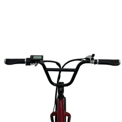 Low Cost 48V 500W Delivery Electric Bike All Terrain 20x4.0 Fat Tire Long Tail Cargo Bike E Bicycle
