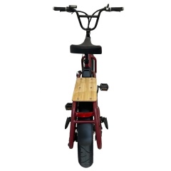 Low Cost 48V 500W Delivery Electric Bike All Terrain 20x4.0 Fat Tire Long Tail Cargo Bike E Bicycle