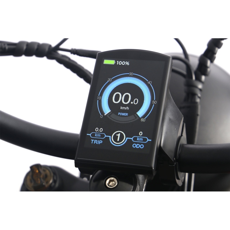 Sleek Design 1000W Fat Electric Bike Fully-Integrated 840Wh Battery 26 Inch 4.0 Fat Tire Retro Cruiser Bicycle For Sale