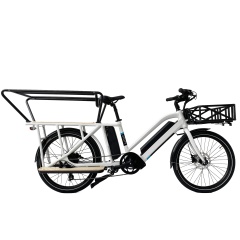 Long Range Dual Battery 48V 500W Cargo Bike Electric Ebike E-Cargo Family E Bicycle With Luggage Carrier Child Guardrail