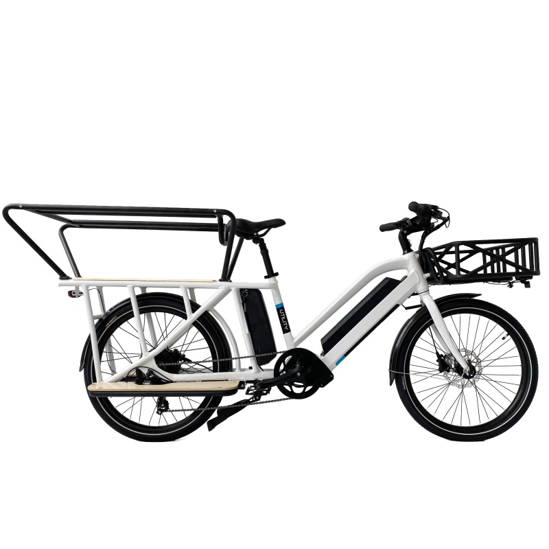 Long Range Dual Battery 48V 500W Cargo Bike Electric Ebike E-Cargo Family E Bicycle With Luggage Carrier Child Guardrail