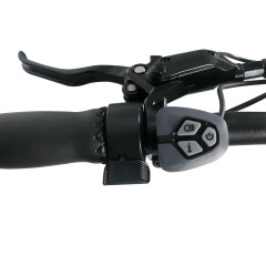 Long Range Dual Battery 48V 500W Cargo Bike Electric Ebike E-Cargo Family E Bicycle With Luggage Carrier Child Guardrail