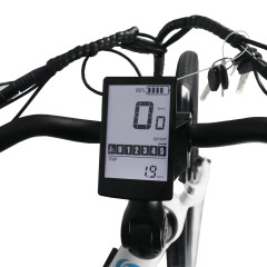 Long Range Dual Battery 48V 500W Cargo Bike Electric Ebike E-Cargo Family E Bicycle With Luggage Carrier Child Guardrail