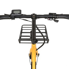 Best Selling 20 Inches Cute Retro E Bike 250W Cargo Electric Bike With Front Basket Tandem Electric Bicycle