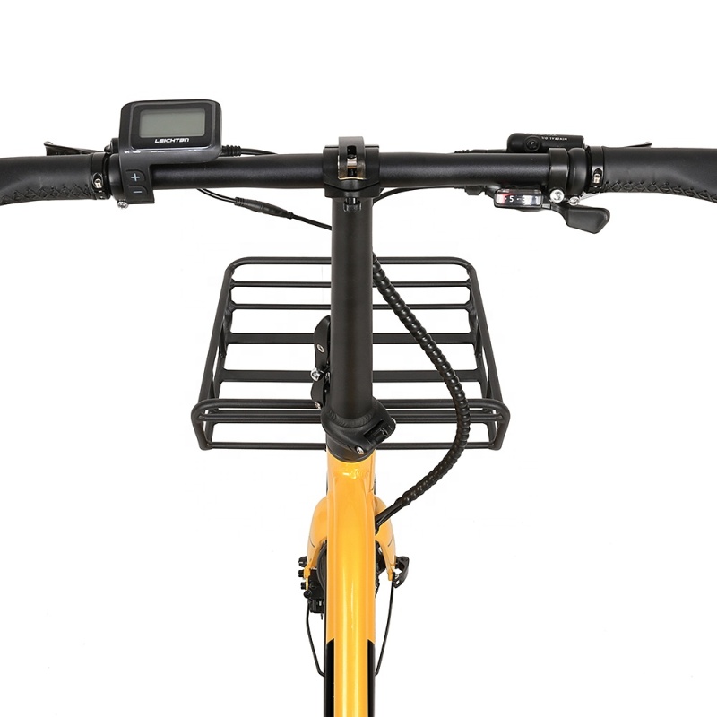 Best Selling 20 Inches Cute Retro E Bike 250W Cargo Electric Bike With Front Basket Tandem Electric Bicycle