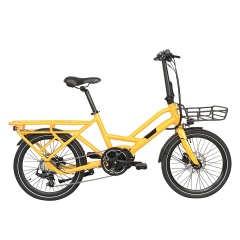 Best Selling 20 Inches Cute Retro E Bike 250W Cargo Electric Bike With Front Basket Tandem Electric Bicycle
