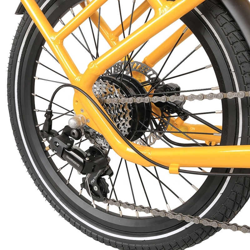 Best Selling 20 Inches Cute Retro E Bike 250W Cargo Electric Bike With Front Basket Tandem Electric Bicycle