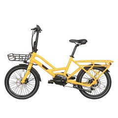 Best Selling 20 Inches Cute Retro E Bike 250W Cargo Electric Bike With Front Basket Tandem Electric Bicycle