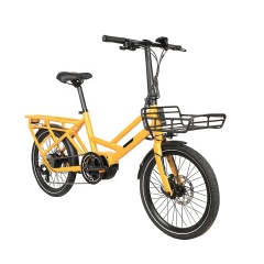 Best Selling 20 Inches Cute Retro E Bike 250W Cargo Electric Bike With Front Basket Tandem Electric Bicycle