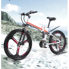 2020 Cute 3 Spoke Magnesium Alloy Electric Bicycle 48V 350W 500W Electric Mountain Bike Full Suspension