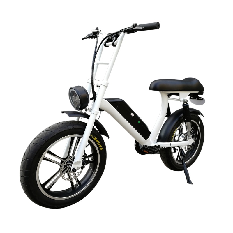 New Step Through Fat Electric Bike E-Bike Full Suspension Electric Fat Bike With Long Comfortable Seat