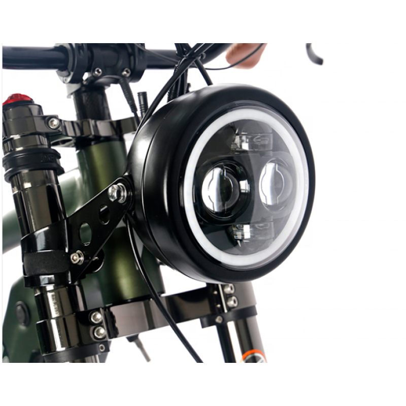 High Quality Vintage Retro Ebike Fat Tire 750W 1000Watt Cruiser Bike Electric Bicycle(Old) With Hydraulic Disk Brakes
